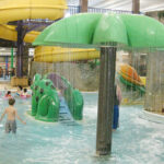 Tree and Frog Slide Image