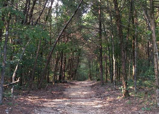 homestead trail
