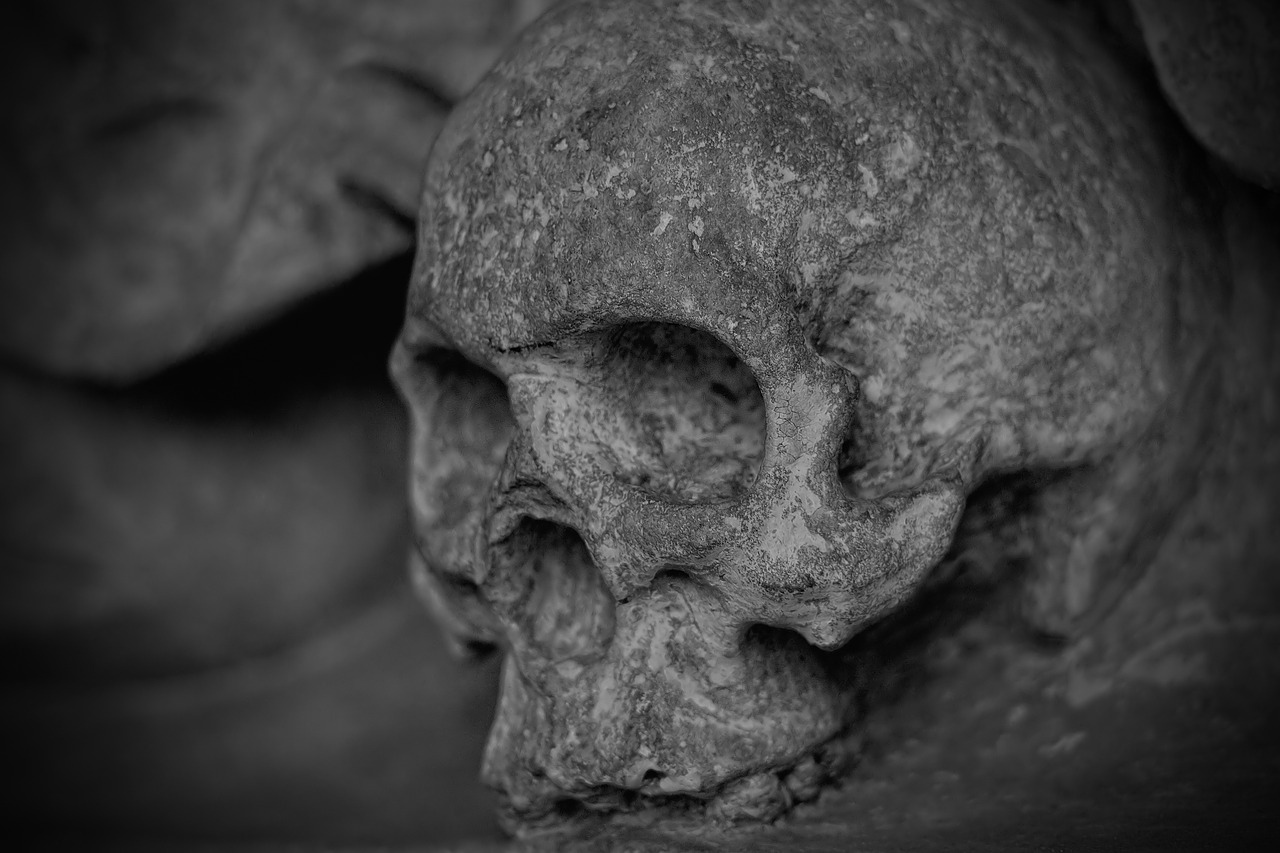 A grey stone skull