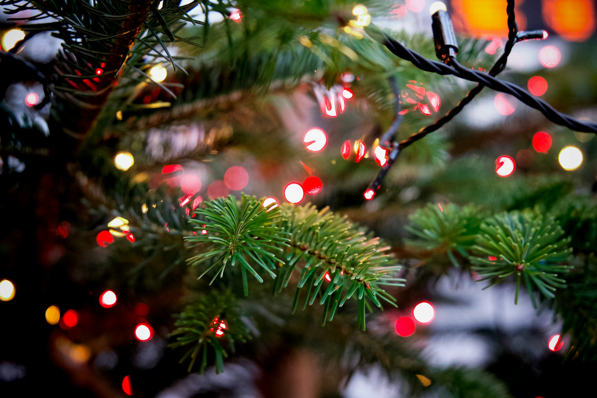 Enjoy fun Christmas events in Branson