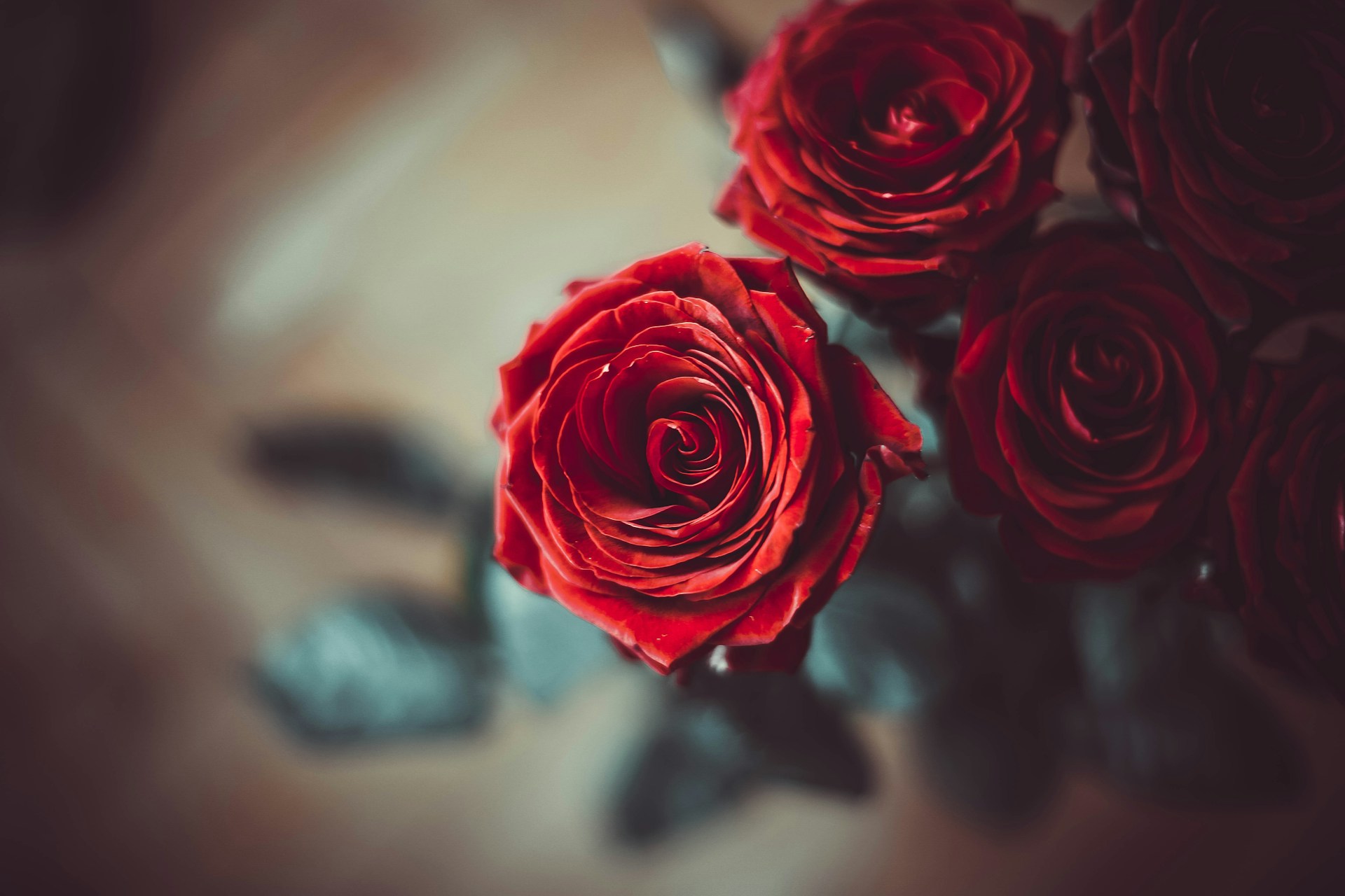 Celebrate Valentine's Day in Branson, MO