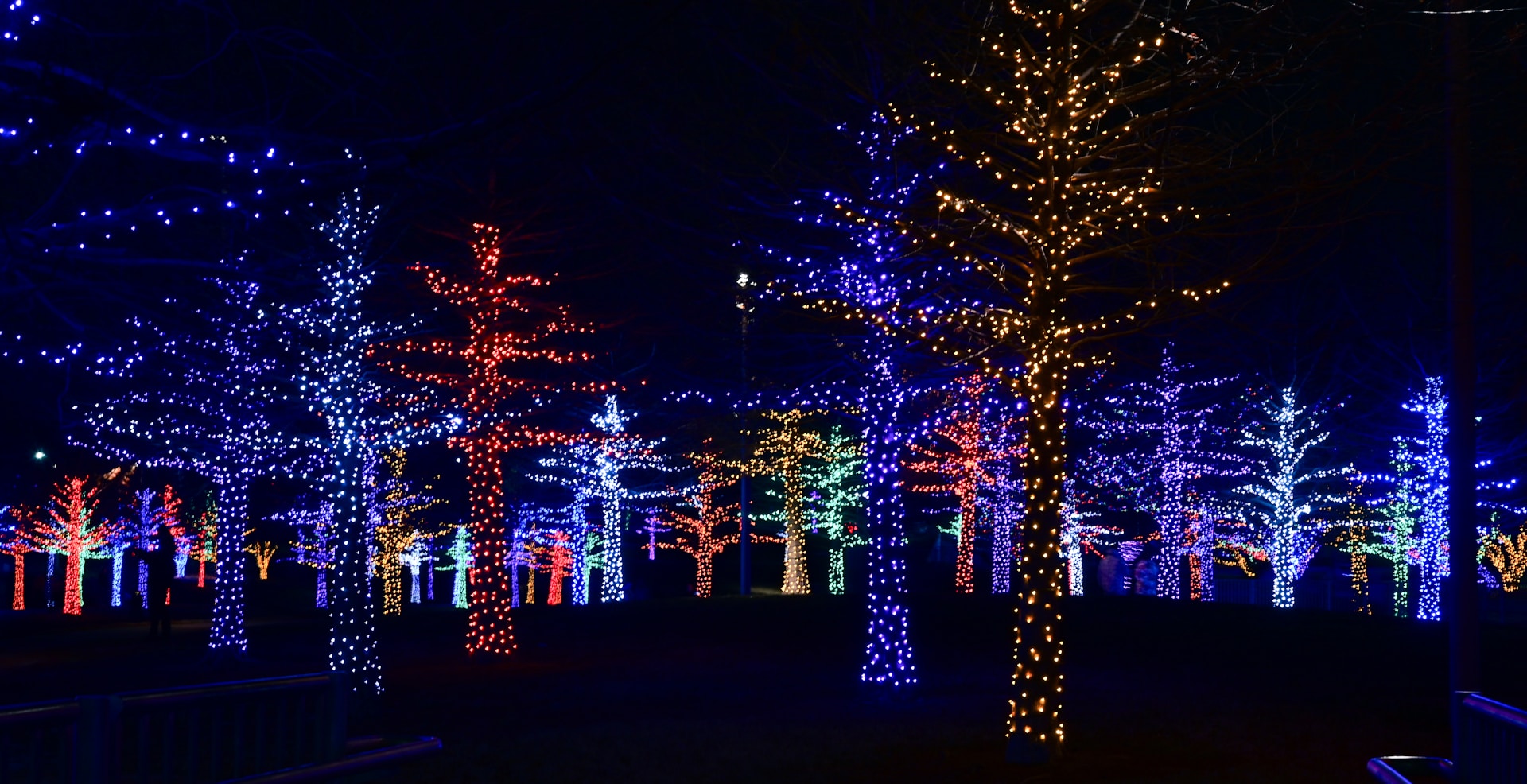 Branson Christmas Lights